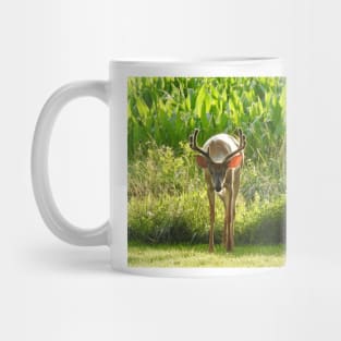 Whitetail Deer, Wild Animals, Wildlife Photography, Gifts Mug